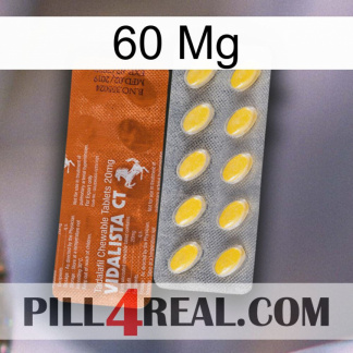 60 Mg 42